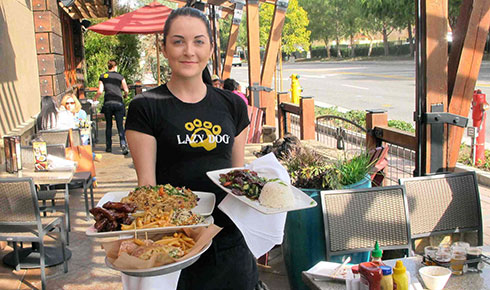 Lazy Dog offers tasty Asian Menu