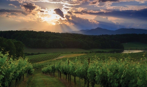 North Carolina’s Hidden Wine Country