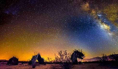 Star-lit Sculptures in the Desert