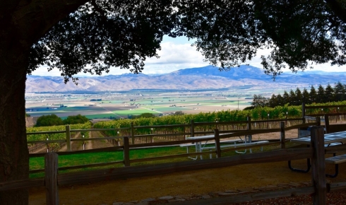 A Glorious Day Visiting Hahn Family Wines