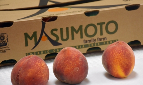 Savoring scrumptious summer fruit