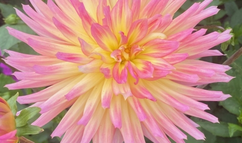 An Idyllic Orange County Getaway