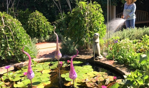 Sherman Library & Gardens: A Delight for the Senses