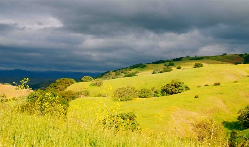 San Benito County:  A Peaceful Getaway with Lots to Do