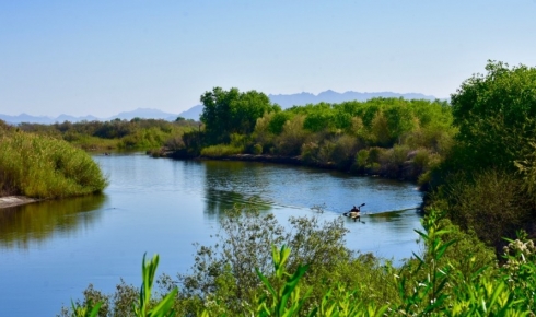 Eating and Drinking Your Way Through Yuma