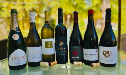Superb Wines Transport Us to Spain