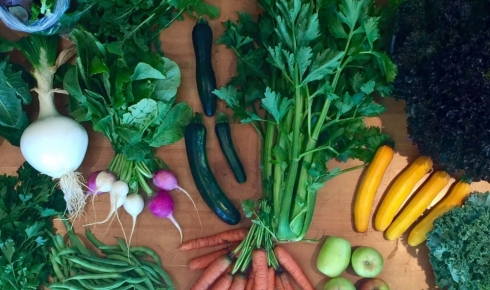 Harvest 2U delivers a bounty of deliciousness