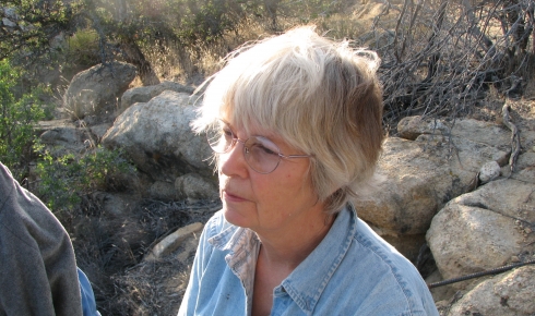 Jane Culp:  Dorland artist captures desert landscape